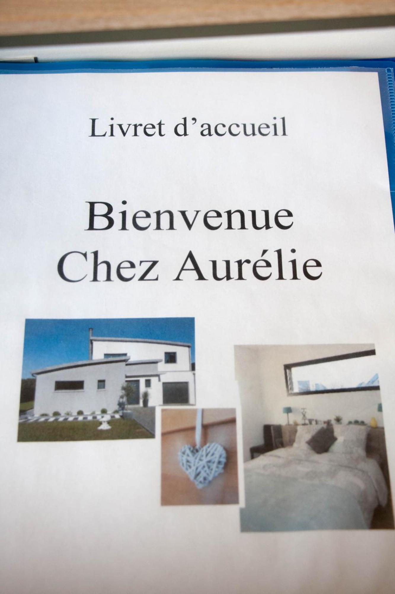 Chez Aurelie Apartment Saint-Alban  ภายนอก รูปภาพ